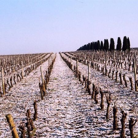 Chateau De La Galissonniere Le Pallet Εξωτερικό φωτογραφία