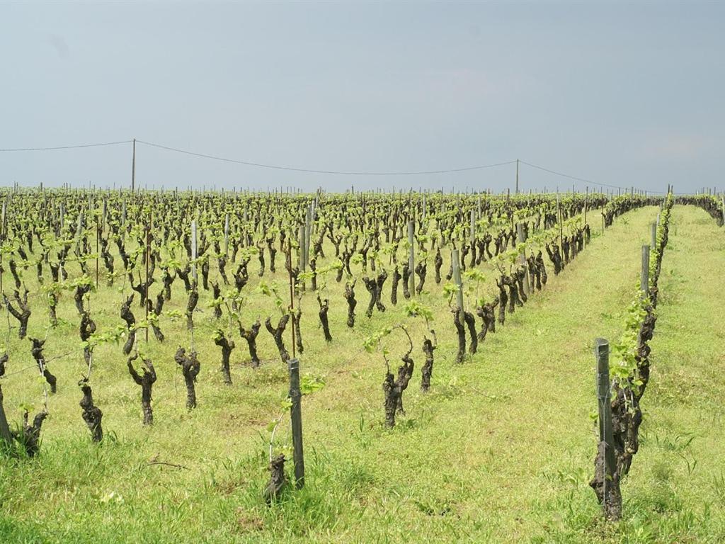 Chateau De La Galissonniere Le Pallet Εξωτερικό φωτογραφία