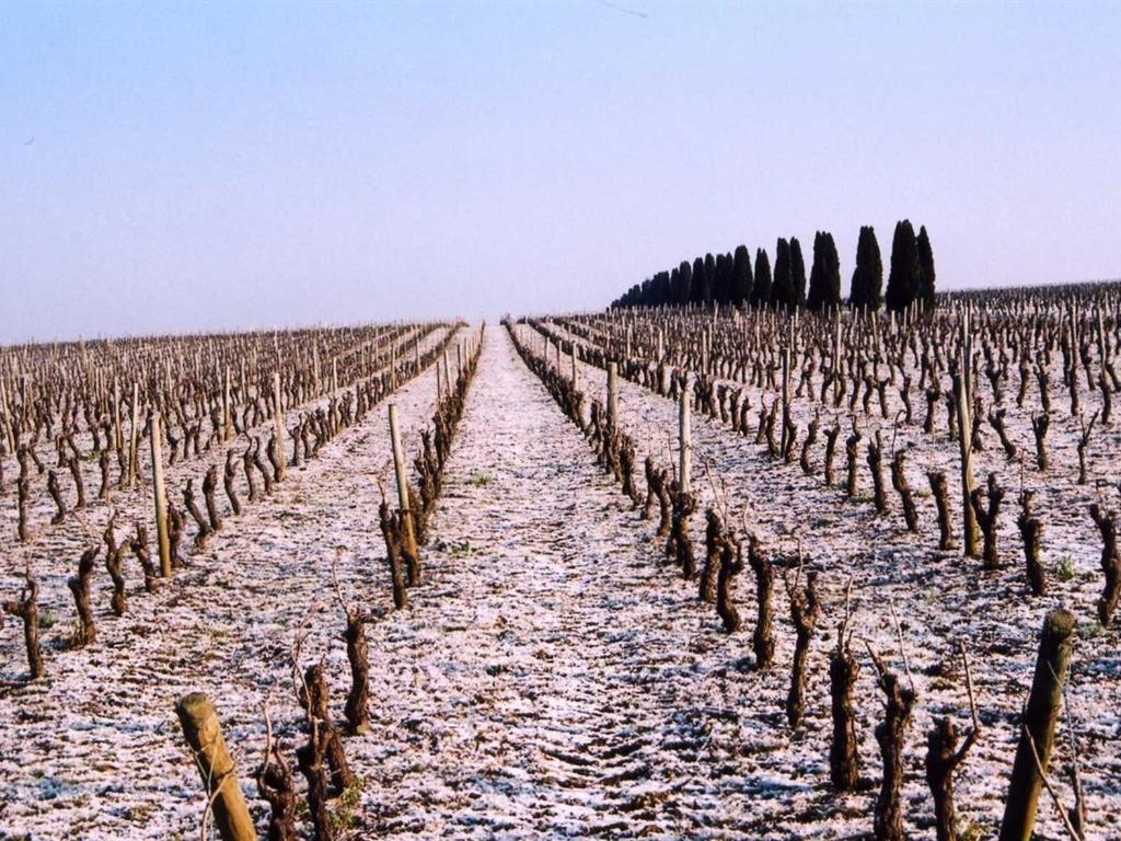 Chateau De La Galissonniere Le Pallet Εξωτερικό φωτογραφία